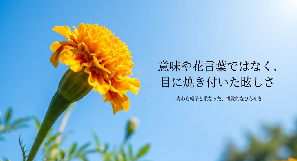 青空を背景に咲くマリーゴールドと「意味や花言葉ではなく、目に焼き付いた眩しさ」の文字を配置したスライド